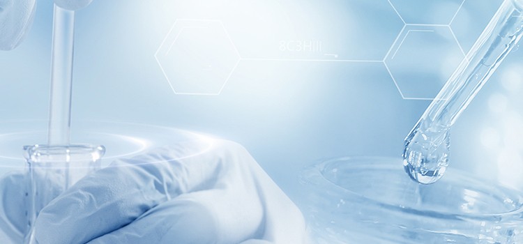 必发888(唯一)官方网站