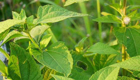 必发888(唯一)官方网站